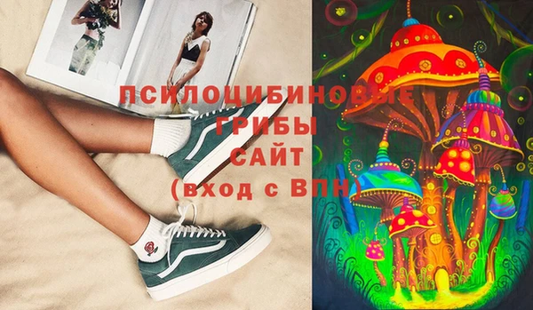 индика Алзамай