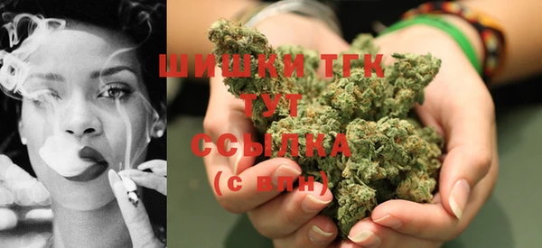 тгк Абаза