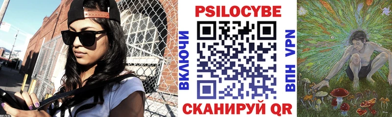 где продают наркотики  Чехов  Галлюциногенные грибы Psilocybine cubensis 